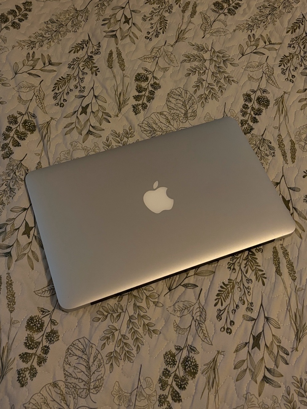 MacBook Air 11 (2015)
